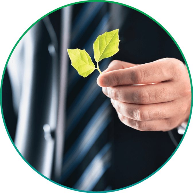 Environmental lawyer or politician with nature and environment friendly values  Business man in suit holding green leafs  Sustainable development, climate change, global warming and conservation 