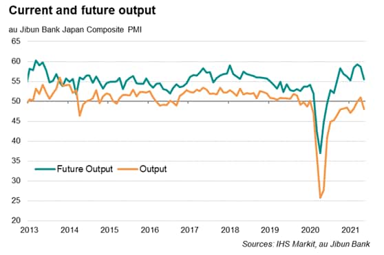 Japan PMI future output expectations and output