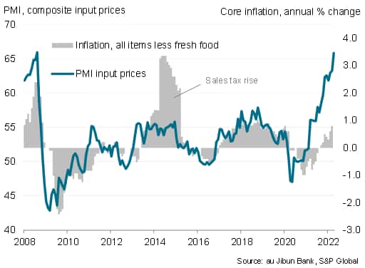 Japan PMI prices and inflation