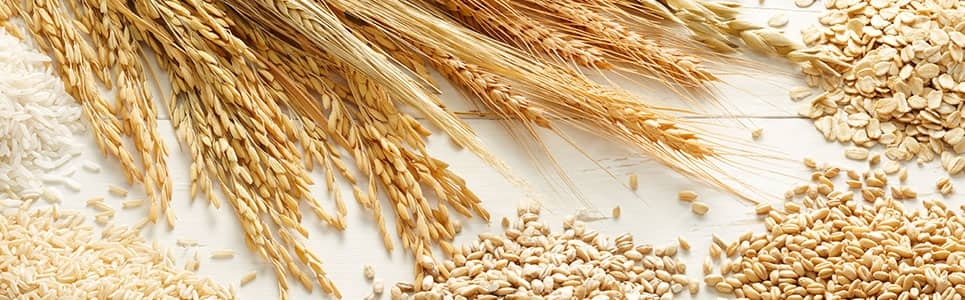 New Grain Seasonality Signals Higher Rates In The Short-term While Risk ...