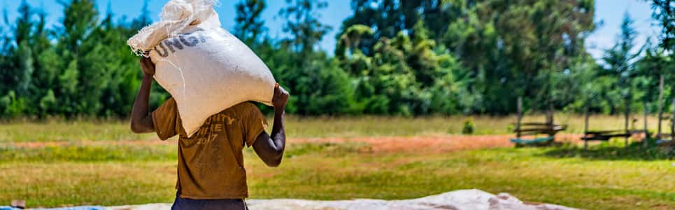 Food insecurity in Sub-Saharan Africa | IHS Markit