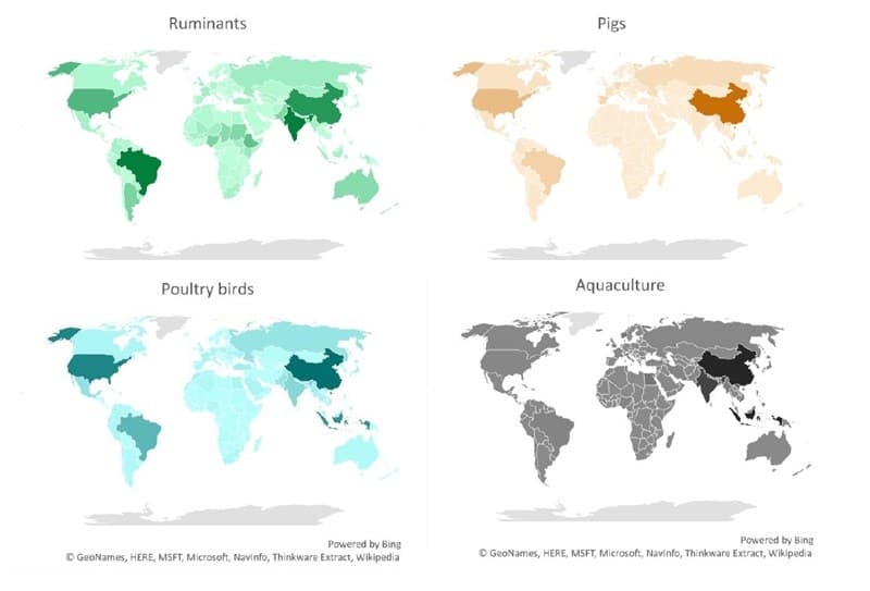 The Geography of Digestible Phosphorus by Species Class, 2018