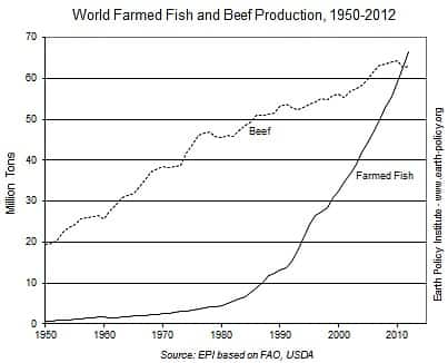 World Farmed Fish & Beef Production 