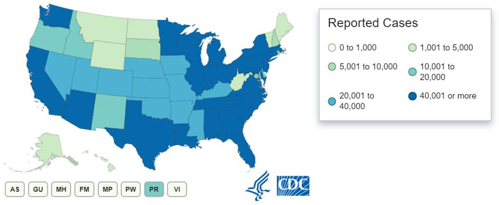 COVID-19 cases in the US by states