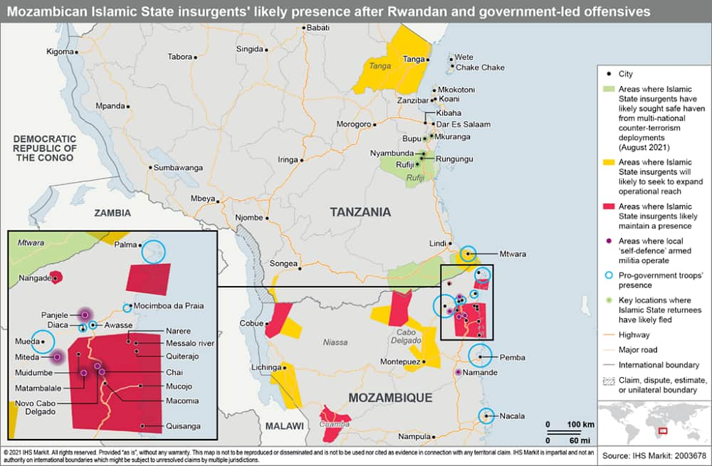 Mozambican islamic state insurgents