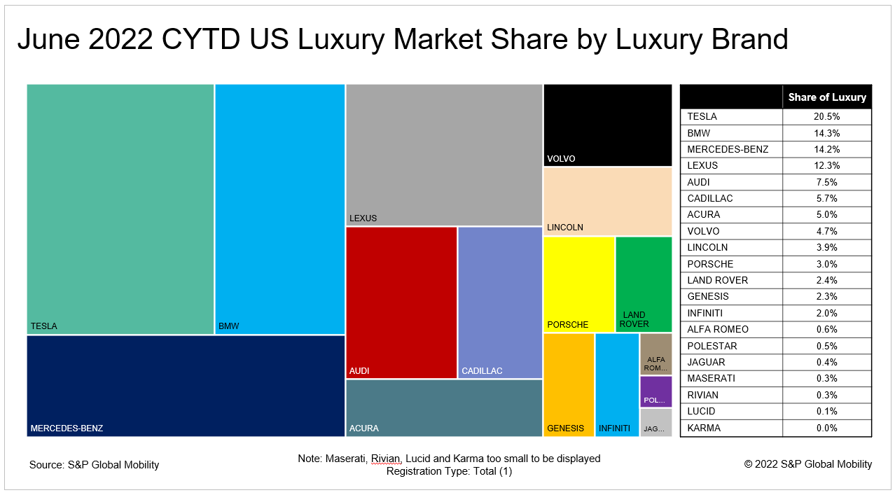 Tesla loyalty and market share soar, but dominance of EV segment could wane