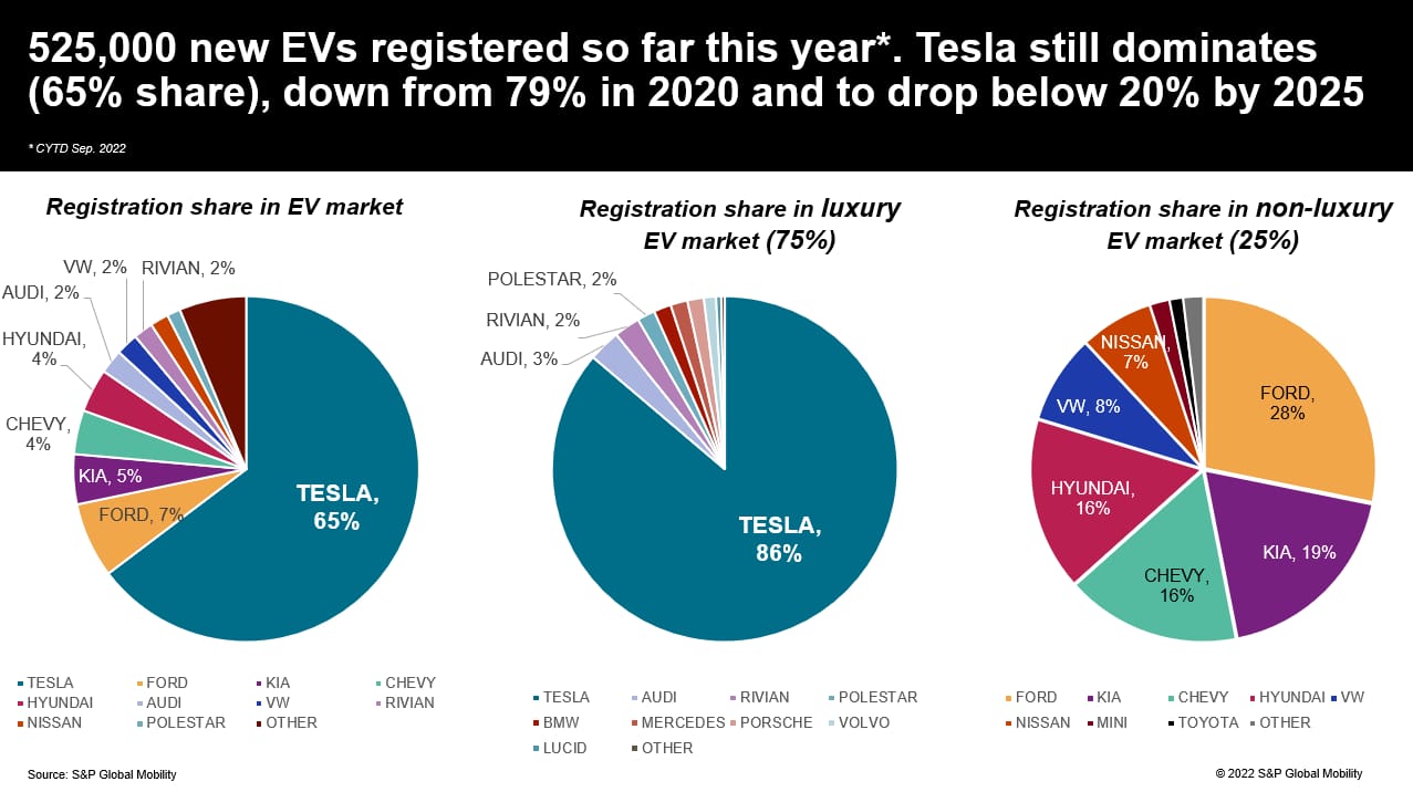 New EV entries nibbling away at Tesla EV share