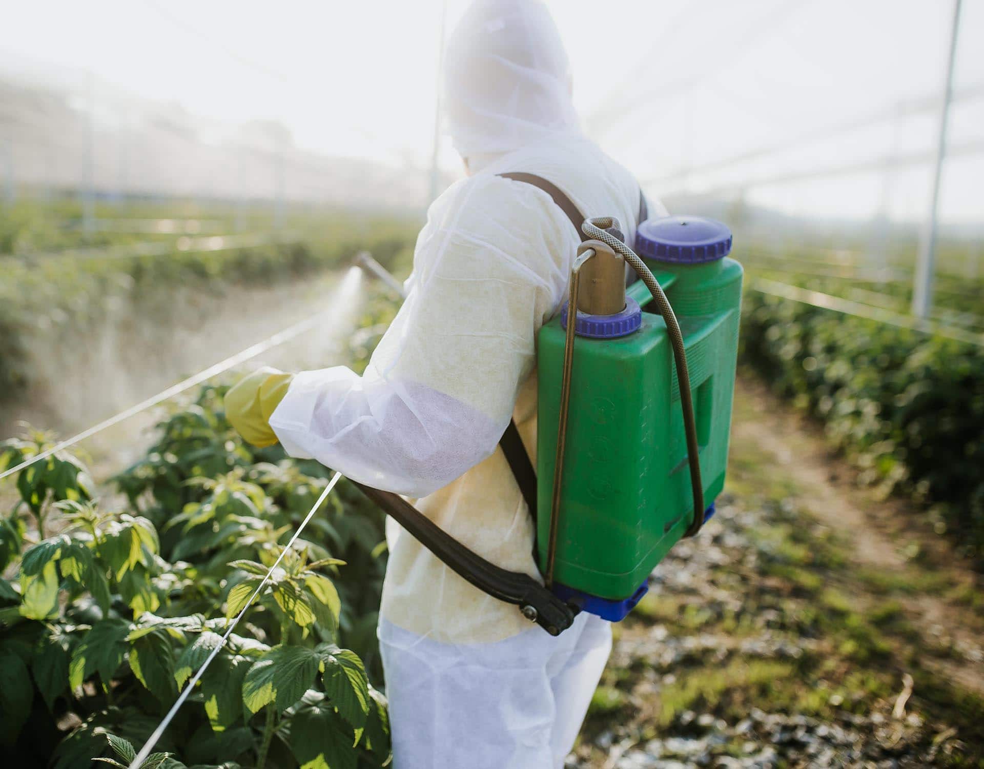 Biopesticides 2021 | IHS Markit